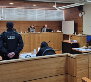 Veredicto condenatorio por femicidio en Ñuble: Fiscalía pide presidio perpetuo para acusado que mató a su expareja.