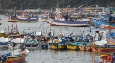 Contraloría invalida resolución de SUBPESCA que beneficiaba a 5.000 armadores