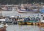 Contraloría invalida resolución de SUBPESCA que beneficiaba a 5.000 armadores