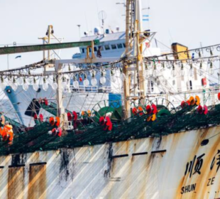 Flota china pesca ilegal Chile