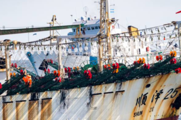 Flota china pesca ilegal Chile