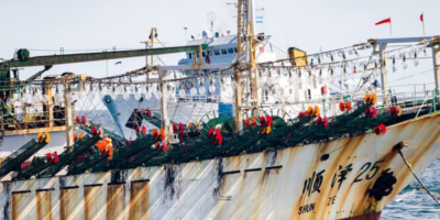 Flota china pesca ilegal Chile