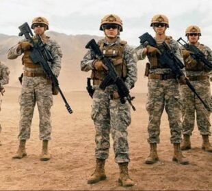 Un proyecto presentado en el Senado propone excluir de la tutela laboral diversos actos propios del mando en las Fuerzas Armadas, Carabineros, la Policía de Investigaciones y Gendarmería, reforzando el principio de especialidad estatutaria y redefiniendo el control jurídico sobre las decisiones institucionale