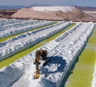 La Corte de Santiago rechazó el reclamo de Enel Green Power y mantuvo la orden de entregar el listado de 54 empresas interesadas en salares chilenos.
